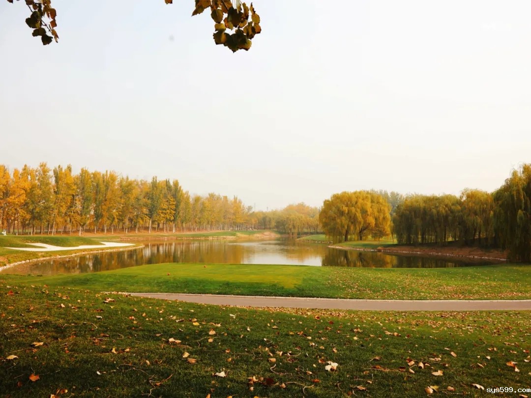 10.webp.jpg 10.webp.jpg