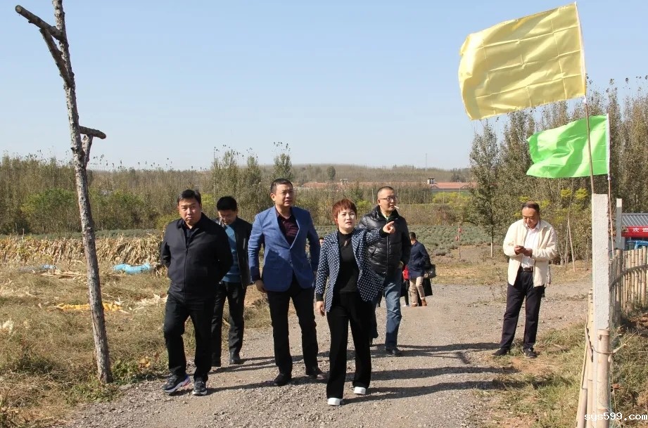 6.webp.jpg 6.webp.jpg