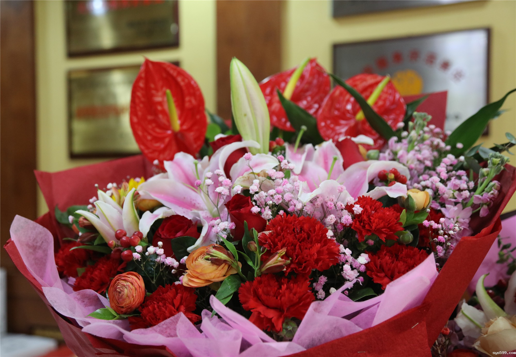 2L8A5722_副本.jpg 2L8A5722_副本.jpg