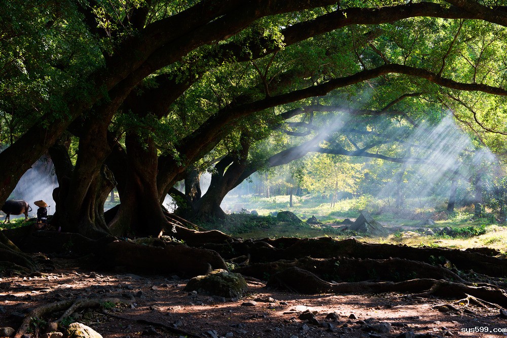 46_549320_a1d92716c2daea5.jpg 46_549320_a1d92716c2daea5.jpg