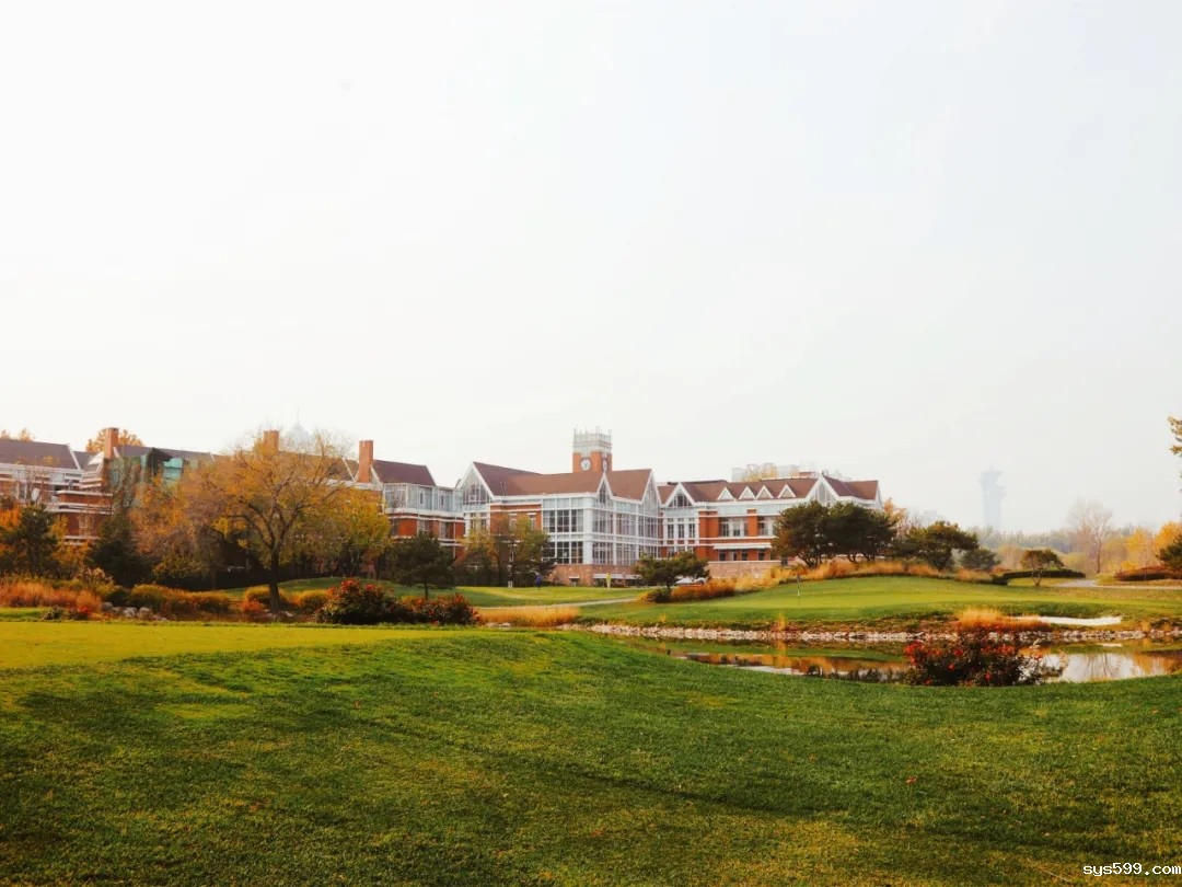 9.webp.jpg 9.webp.jpg