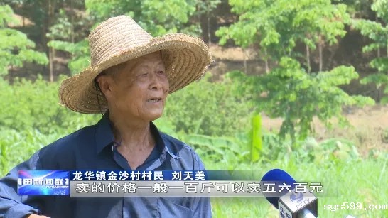 2.webp.jpg 2.webp.jpg