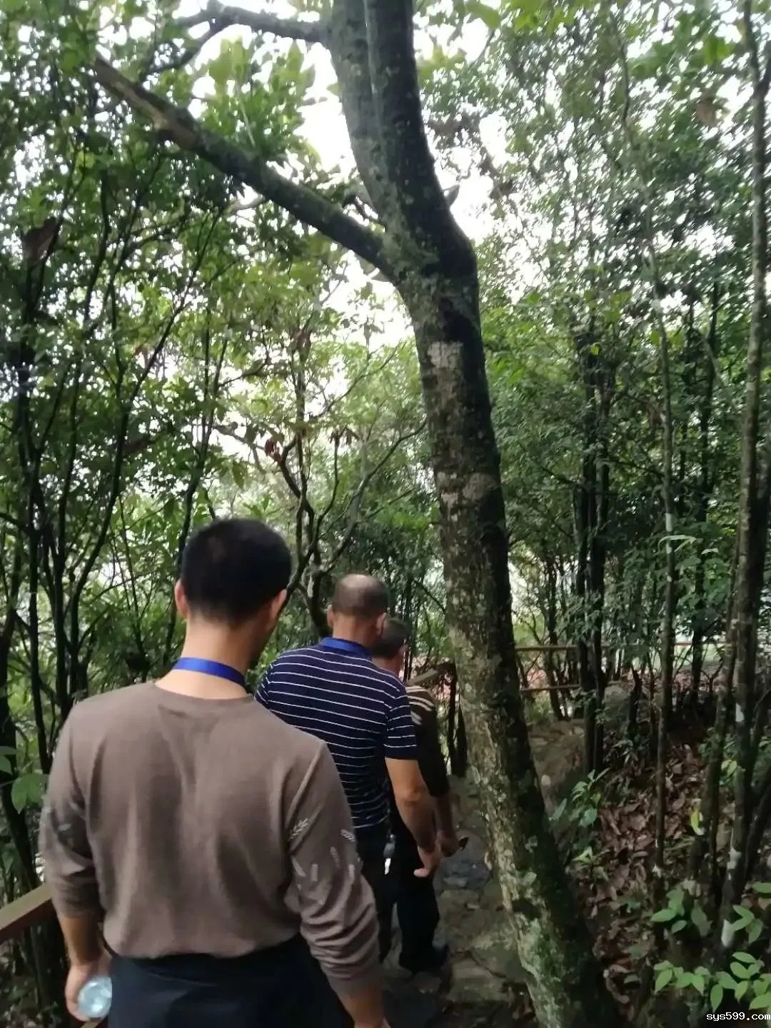 8.webp.jpg 8.webp.jpg