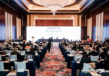 总商会施锦珊执行会长连任中国外商投资企业协会副会长